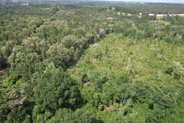 TRACT32 County Road 2170, Grapeland, TX 75844