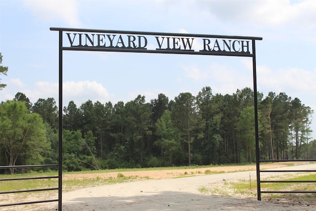 TRACT32 County Road 2170, Grapeland, TX 75844