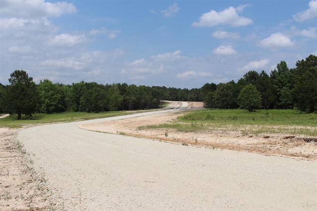 TRACT32 County Road 2170, Grapeland, TX 75844