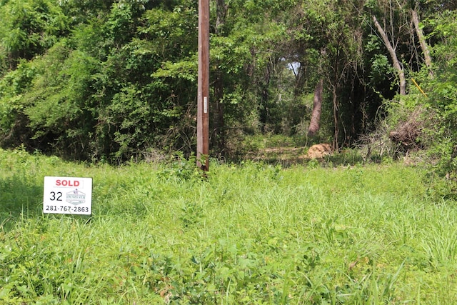 TRACT32 County Road 2170, Grapeland, TX 75844