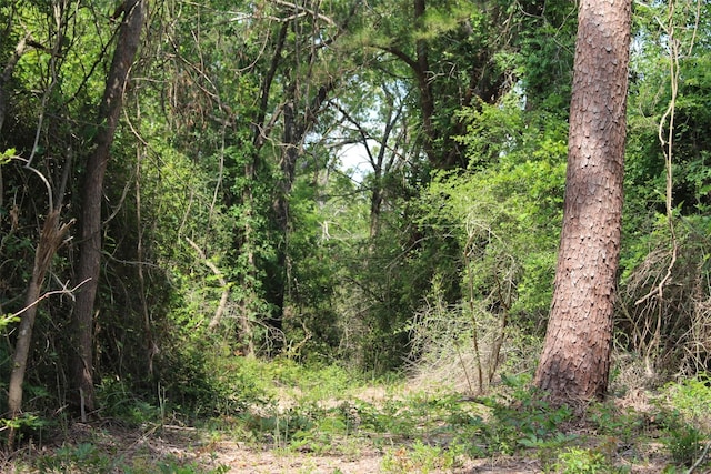 TRACT32 County Road 2170, Grapeland, TX 75844