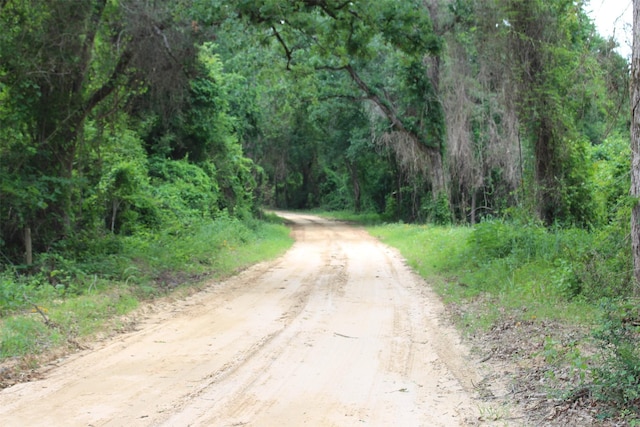 TRACT32 County Road 2170, Grapeland, TX 75844