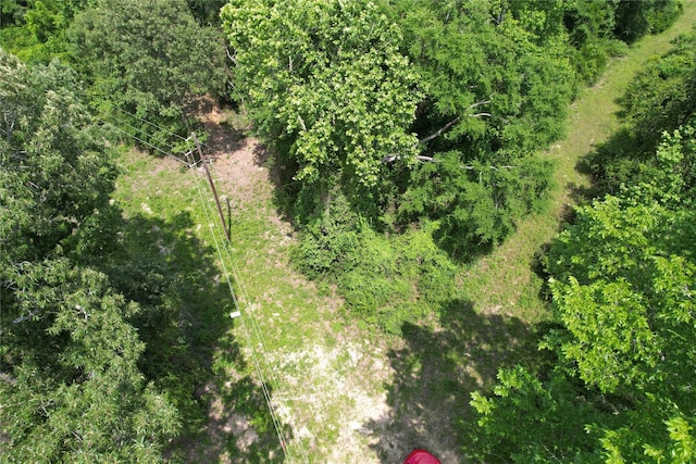 TRACT32 County Road 2170, Grapeland, TX 75844