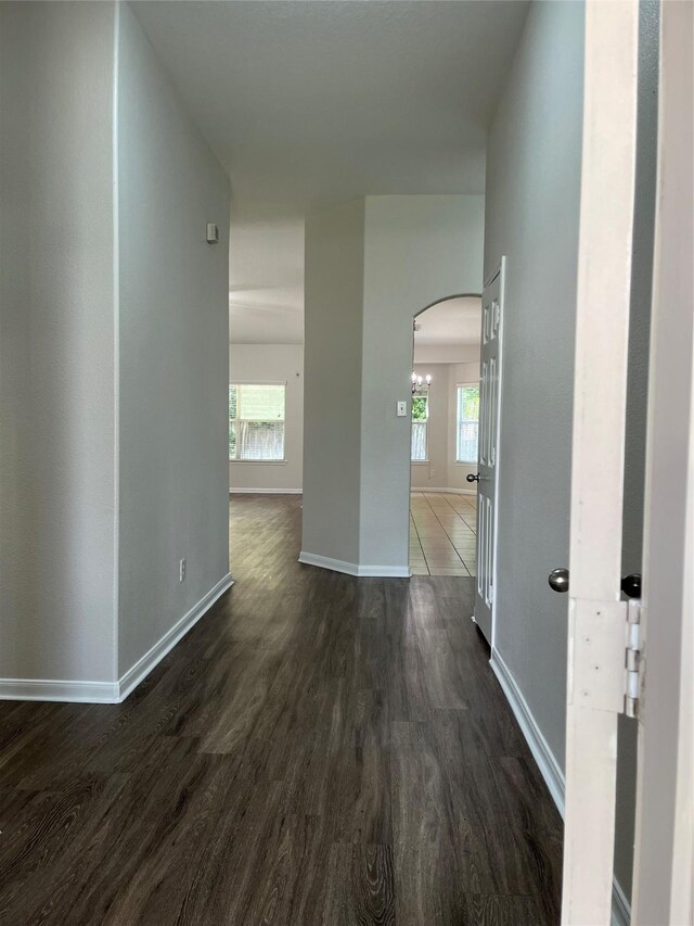 2702 Orchard Creek Ln, Katy, TX 77494 - hall featuring arched walkways, dark wood finished floors, plenty of natural light, and baseboards