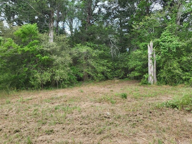 7436 Magnolia Ln, New Ulm, TX 78950 - photo 3