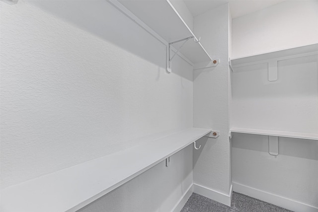 2020 Wavell St, Houston, TX 77088 - walk in closet with dark colored carpet