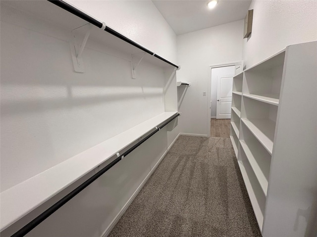 208 Cider Gum Pl, Montgomery, TX 77316 - spacious closet with light colored carpet
