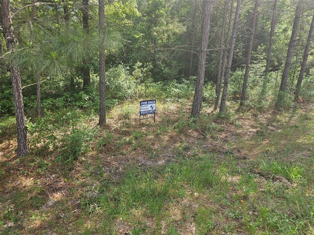 TBD Big Buck Dr, Cleveland, TX 77328