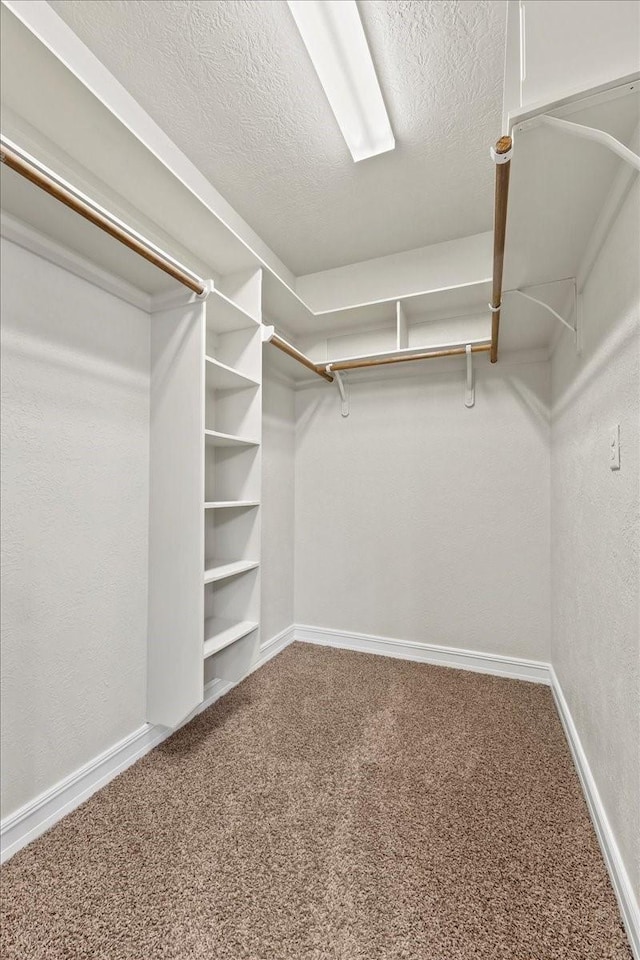 3490 Prescott Dr, Beaumont, TX 77706 - walk in closet featuring carpet floors