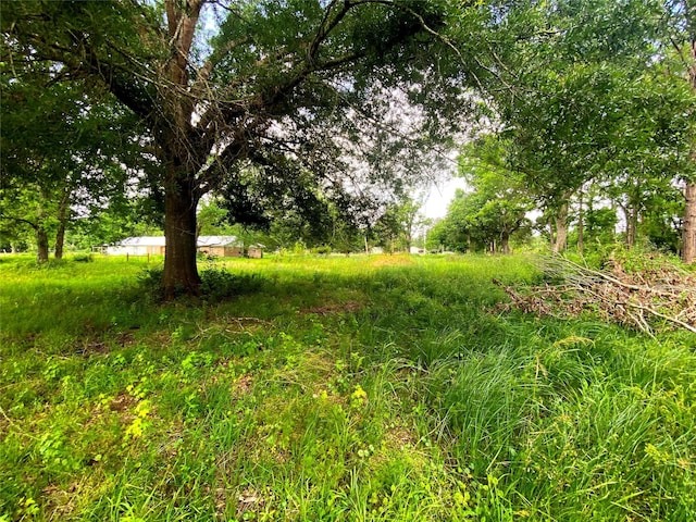 17374 Hales Rd, Batson, TX 77519