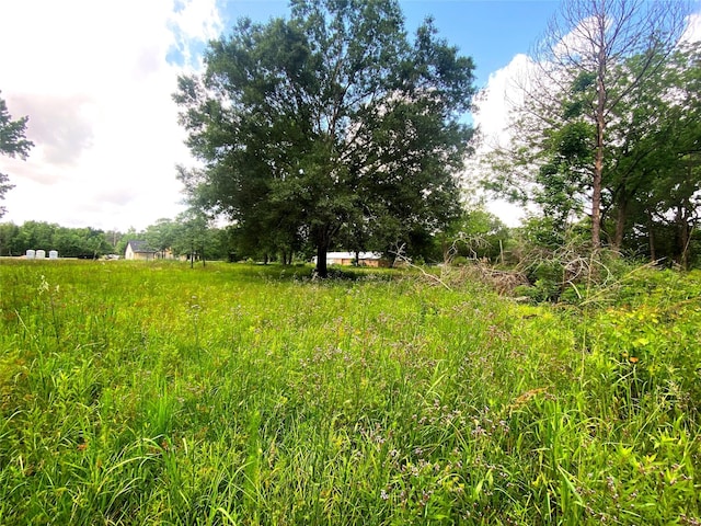 17374 Hales Rd, Batson, TX 77519
