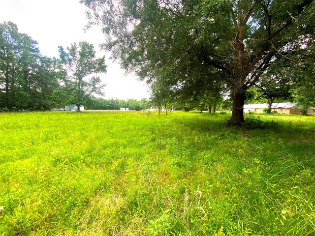 17374 Hales Rd, Batson, TX 77519