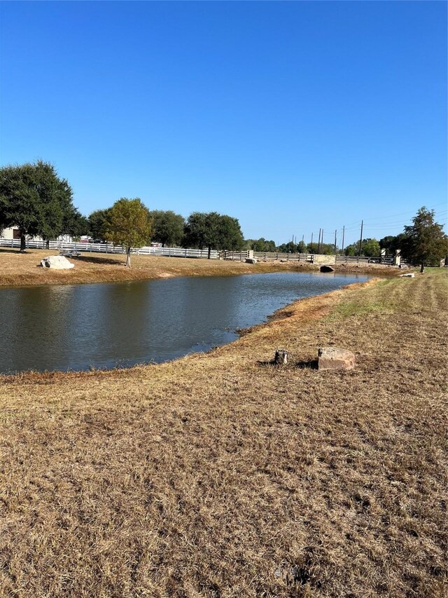 32007 Meadow View Ln, Waller, TX 77484 - photo 6