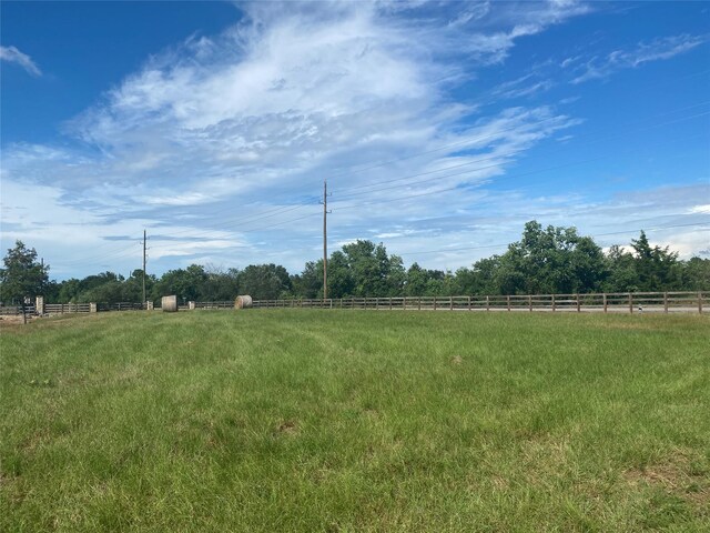 32007 Meadow View Ln, Waller, TX 77484 - photo 7