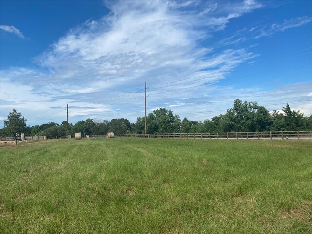 32007 Meadow View Ln, Waller, TX 77484 - photo 8