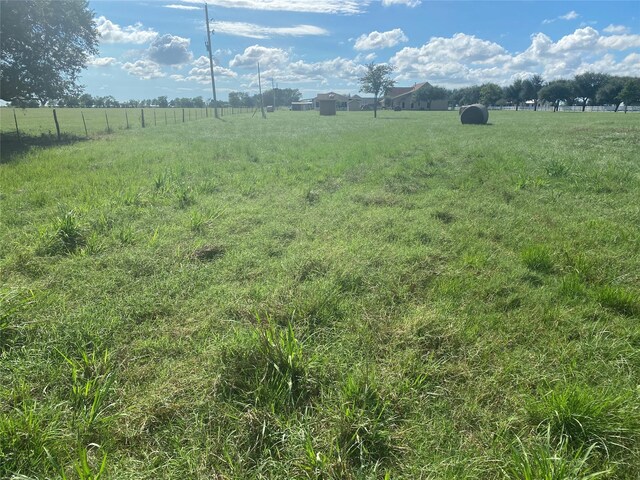 32007 Meadow View Ln, Waller, TX 77484 - photo 9