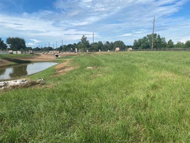 32007 Meadow View Ln, Waller, TX 77484 - photo 10