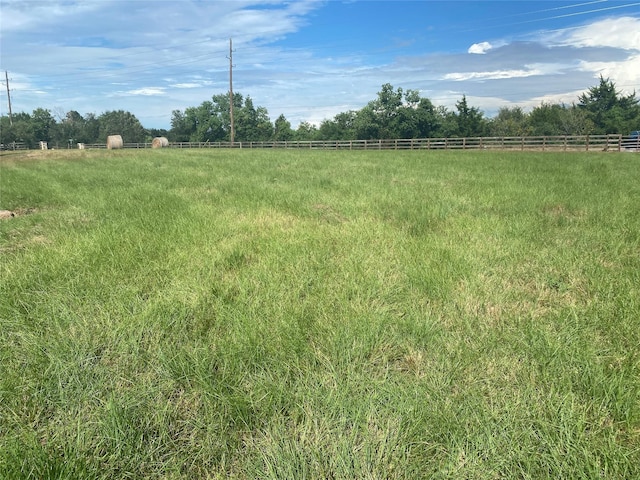 32007 Meadow View Ln, Waller, TX 77484 - photo 11