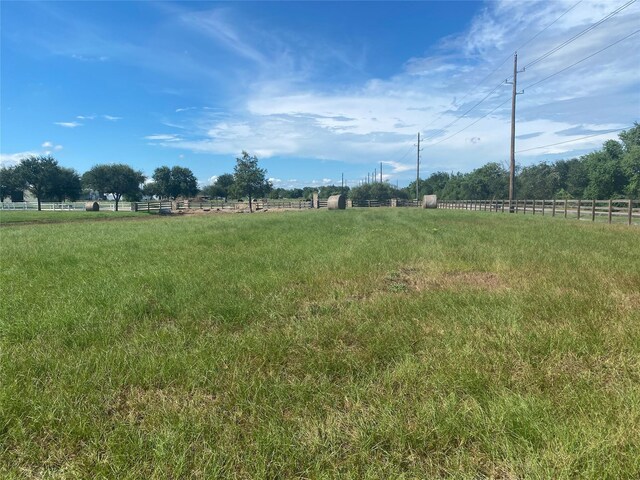 32007 Meadow View Ln, Waller, TX 77484 - photo 12