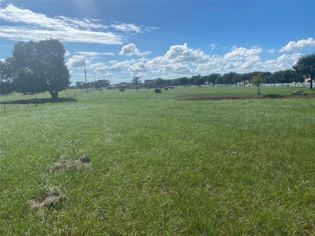 32007 Meadow View Ln, Waller, TX 77484 - photo 13