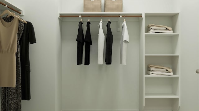 10300 Woodhill Spa Ln, Cleveland, TX 77327 - view of spacious closet
