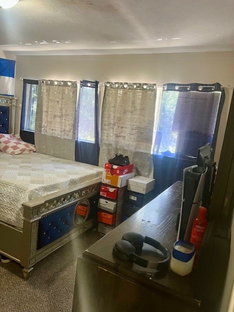 17102 Dewgrass Dr, Houston, TX 77060 - view of carpeted bedroom
