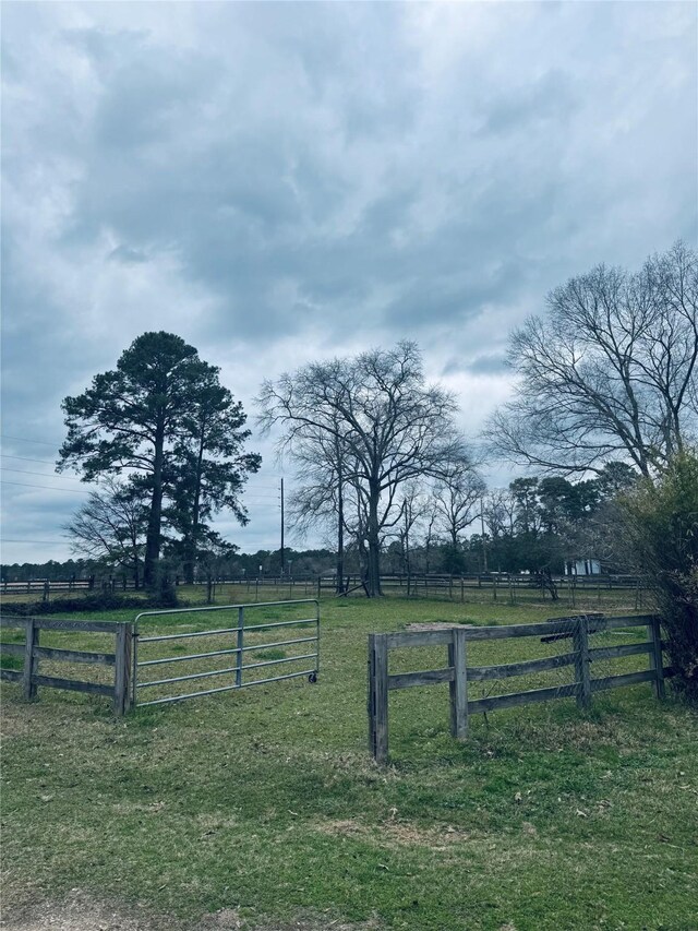 30818 Walnut Creek Rd, Magnolia, TX 77355 - photo 12