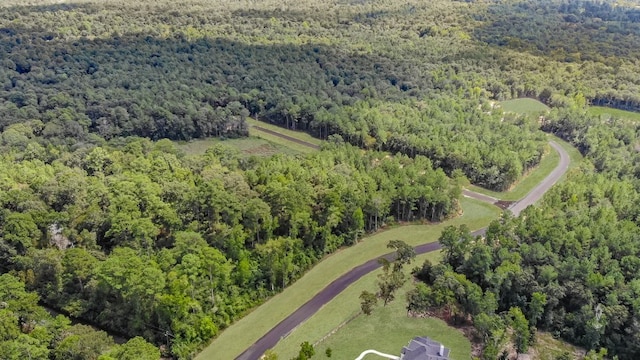 1525 Silver Creek Ln, Montgomery, TX 77316 - view of property location featuring a heavily wooded area