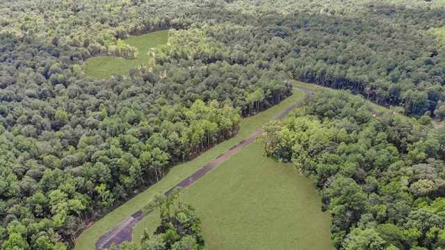 1525 Silver Creek Ln, Montgomery, TX 77316 - bird's eye view of a forest