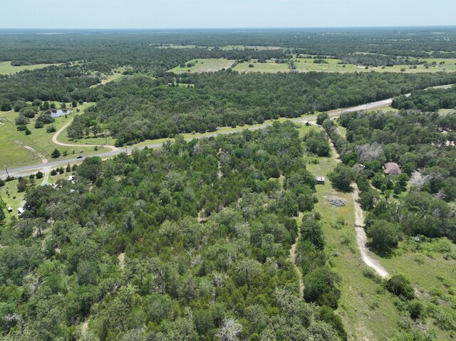 TBD Fm 60, Somerville, TX 77879 - photo 6
