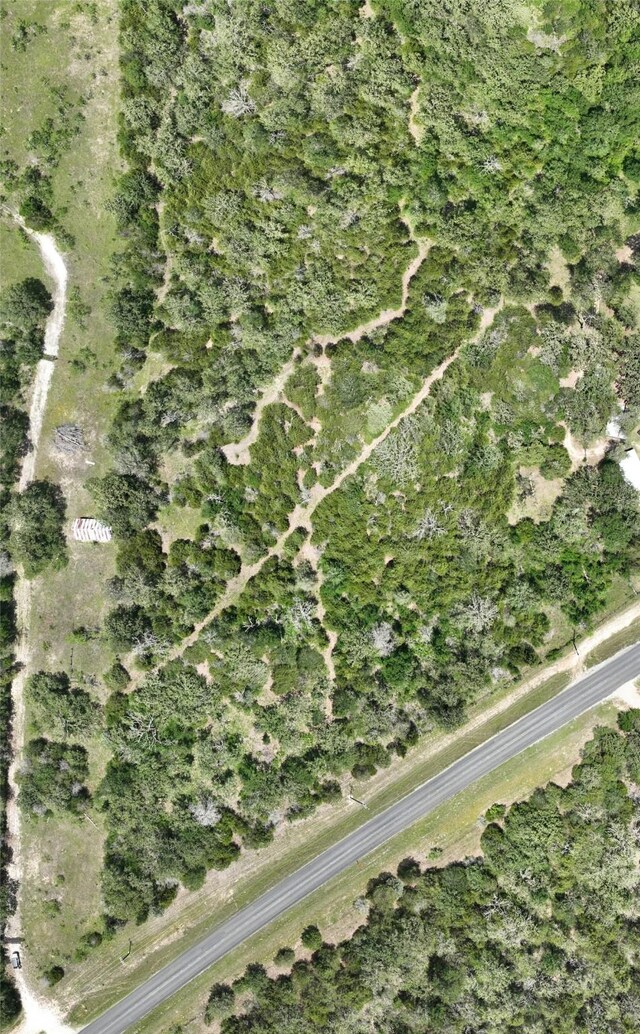 TBD Fm 60, Somerville, TX 77879 - photo 10