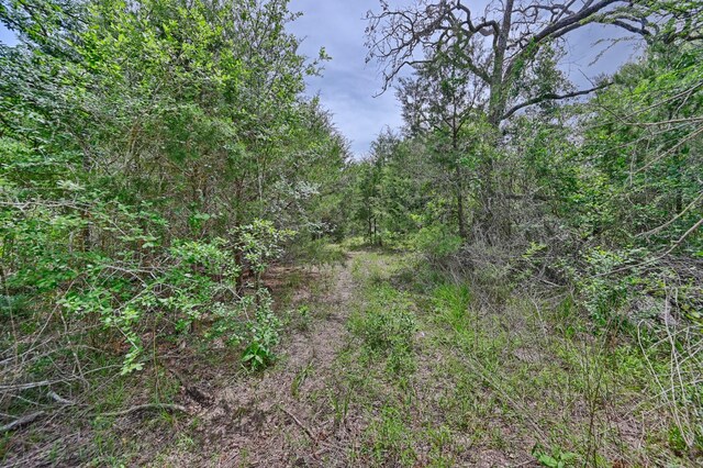 TBD Fm 60, Somerville, TX 77879 - photo 11
