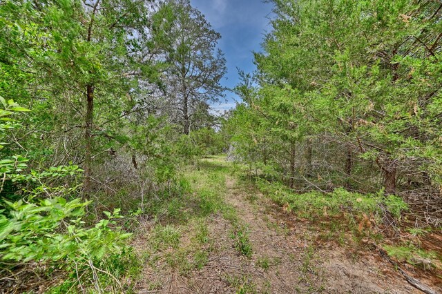 TBD Fm 60, Somerville, TX 77879 - photo 12
