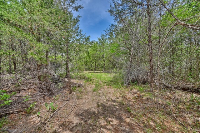 TBD Fm 60, Somerville, TX 77879 - photo 13