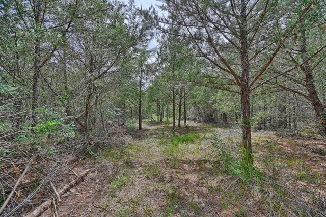 TBD Fm 60, Somerville, TX 77879 - photo 14