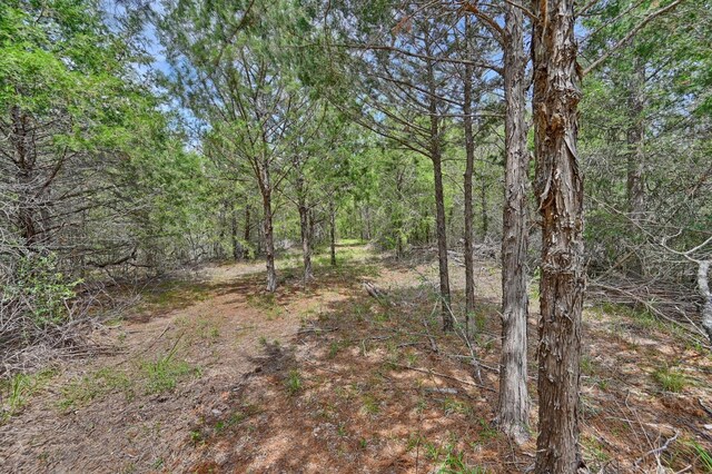 TBD Fm 60, Somerville, TX 77879 - photo 15