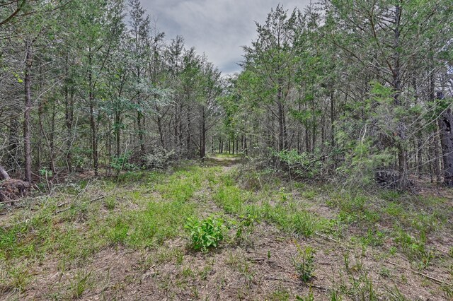 TBD Fm 60, Somerville, TX 77879 - photo 16