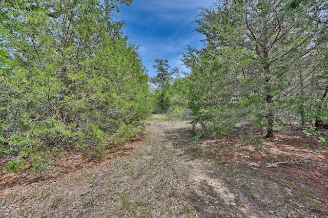 TBD Fm 60, Somerville, TX 77879 - photo 17