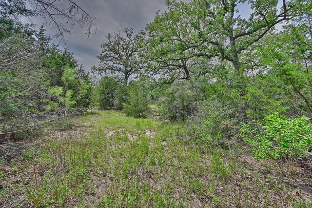 TBD Fm 60, Somerville, TX 77879 - photo 18