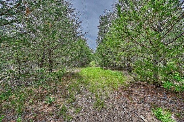 TBD Fm 60, Somerville, TX 77879 - photo 20