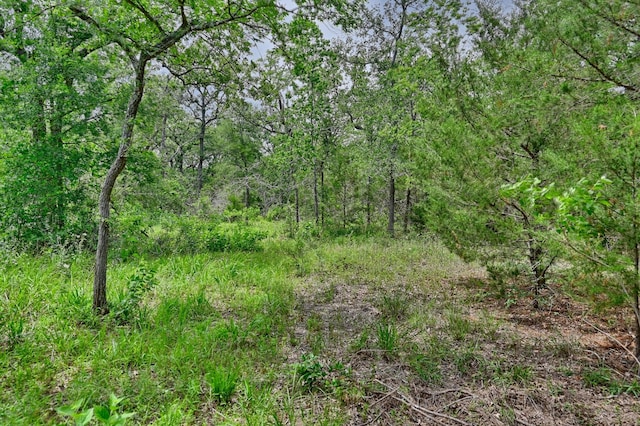 TBD Fm 60, Somerville, TX 77879 - photo 22