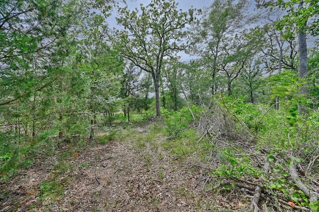 TBD Fm 60, Somerville, TX 77879 - photo 23