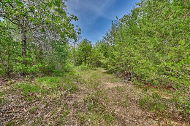 TBD Fm 60, Somerville, TX 77879 - photo 24