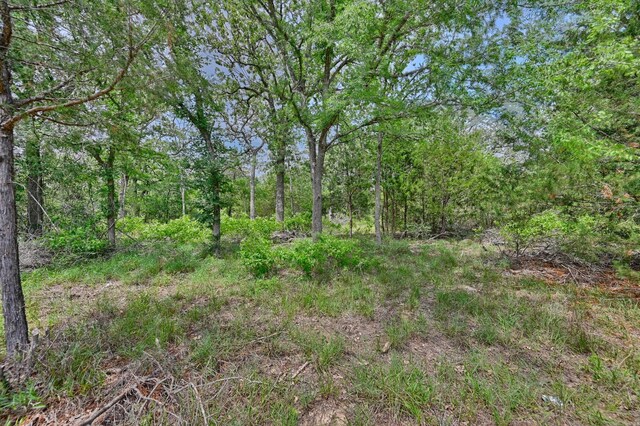 TBD Fm 60, Somerville, TX 77879 - photo 25