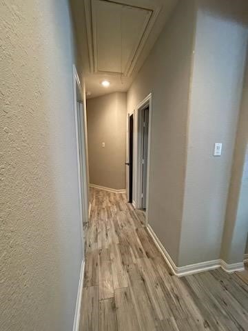 25807 Sarah Springs Ct, Spring, TX 77373 - photo 7