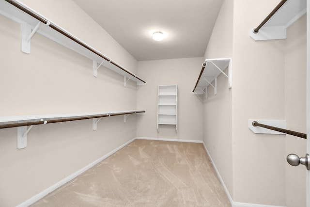 14542 Northern Mountain Ct, Houston, TX 77090 - spacious closet with carpet floors