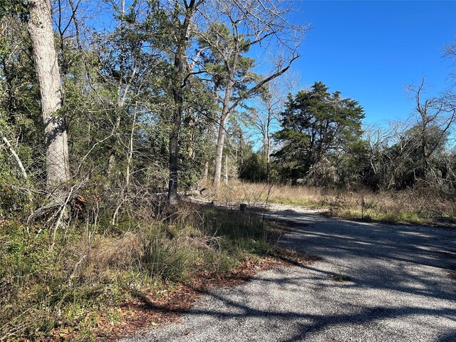 14948 Colt Ln, Willis, TX 77378 - photo 4