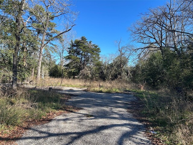 14948 Colt Ln, Willis, TX 77378 - photo 6