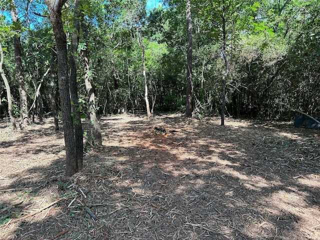 14948 Colt Ln, Willis, TX 77378 - photo 7