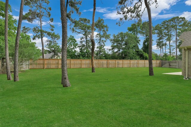 12407 Palo Acebo Ln, Humble, TX 77346 - view of yard